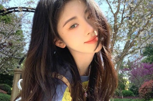 重磅爆料！美网红收10万美金私费背书斯泰尔藏匿款项遭严查打脸竞选黑幕